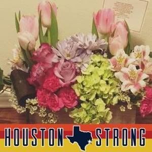 Meet your Posher, Eya